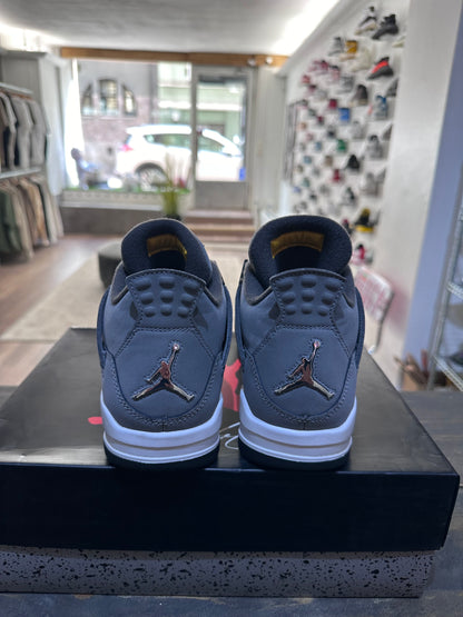 Jordan 4 Retro Cool Gray (2019) (Eu: 40.5)