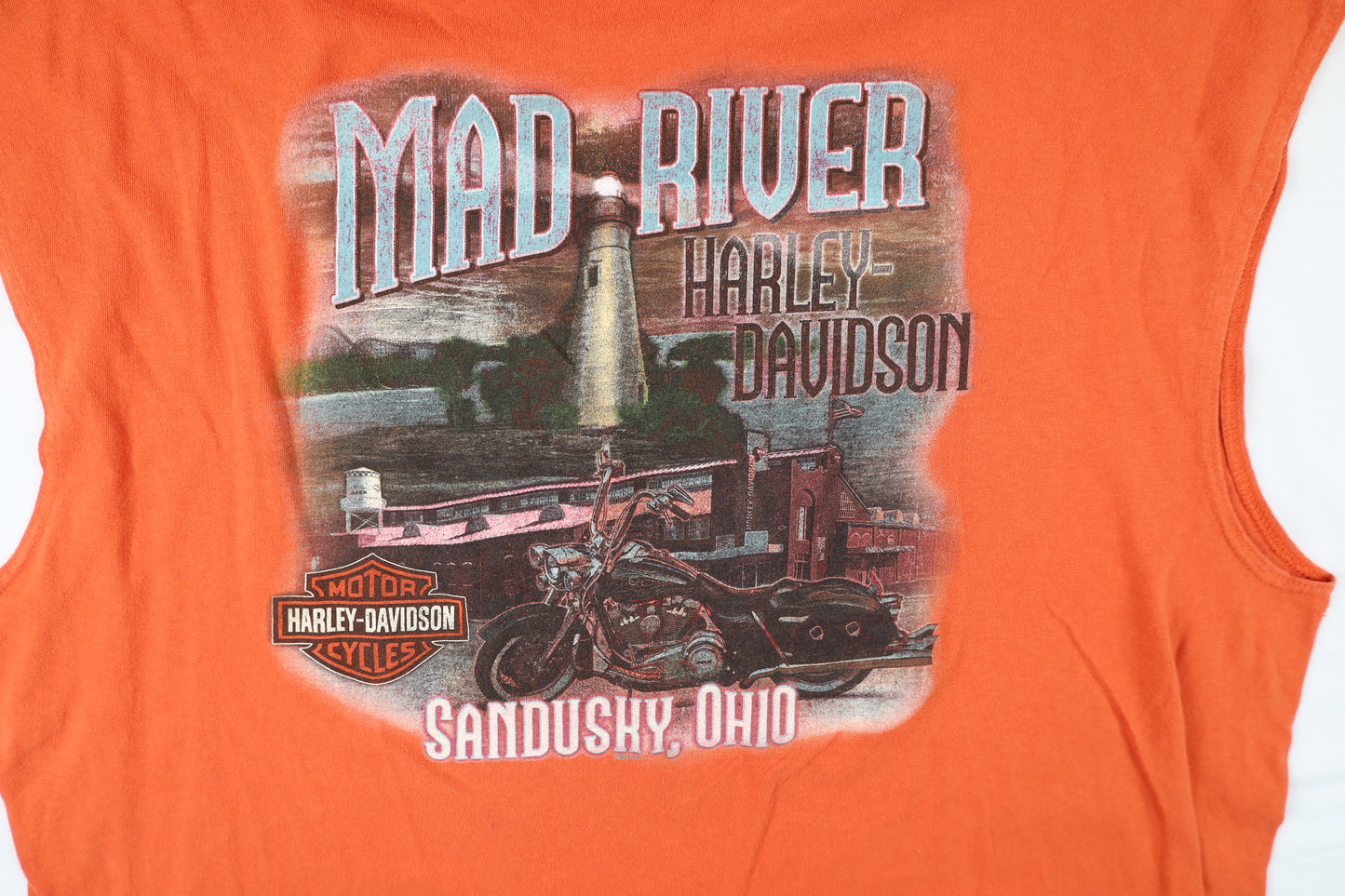 Harley Davidson (Sandusky) Hihaton T-paita