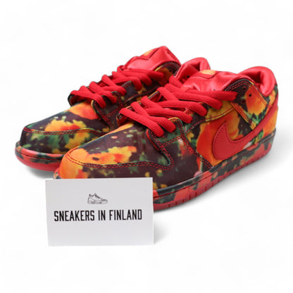 Nike SB Dunk Low The Wizard of Oz Poppy Field